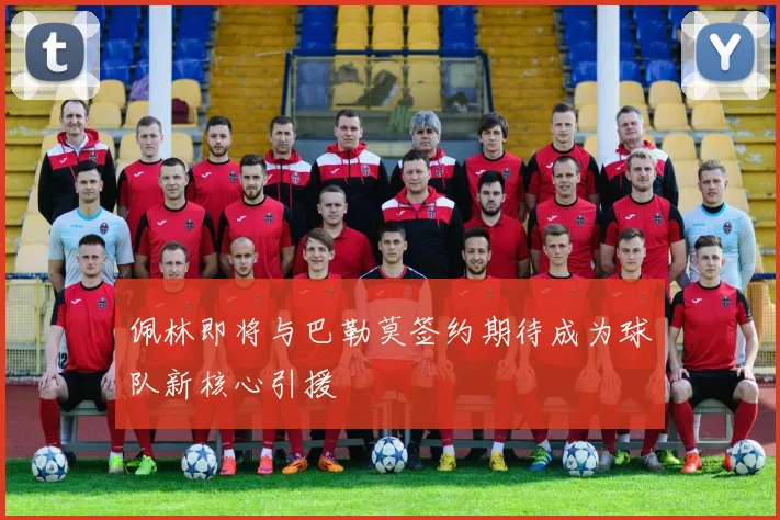 佩林即将与巴勒莫签约期待成为球队新核心引援